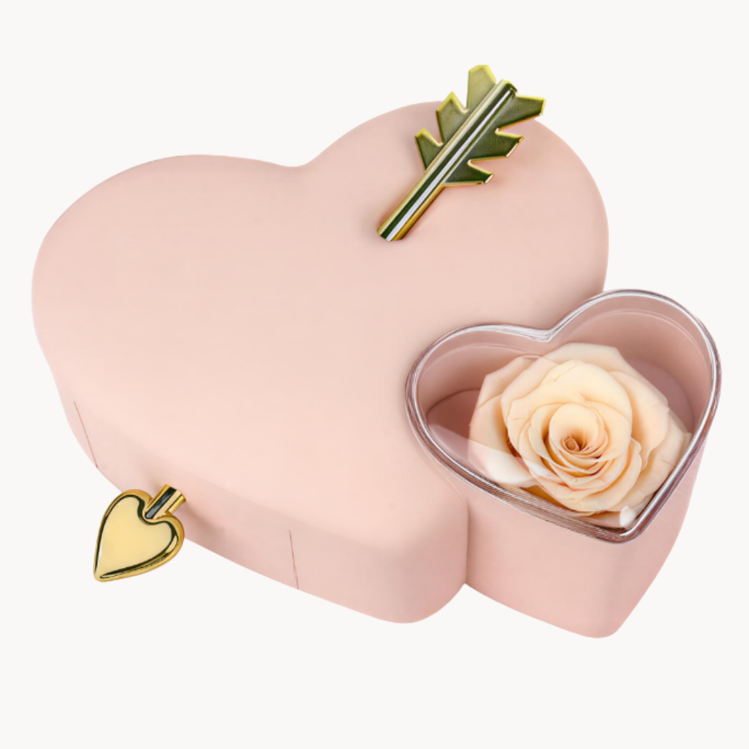 Caja Corazón con Collar Personalizado Para San Valentín